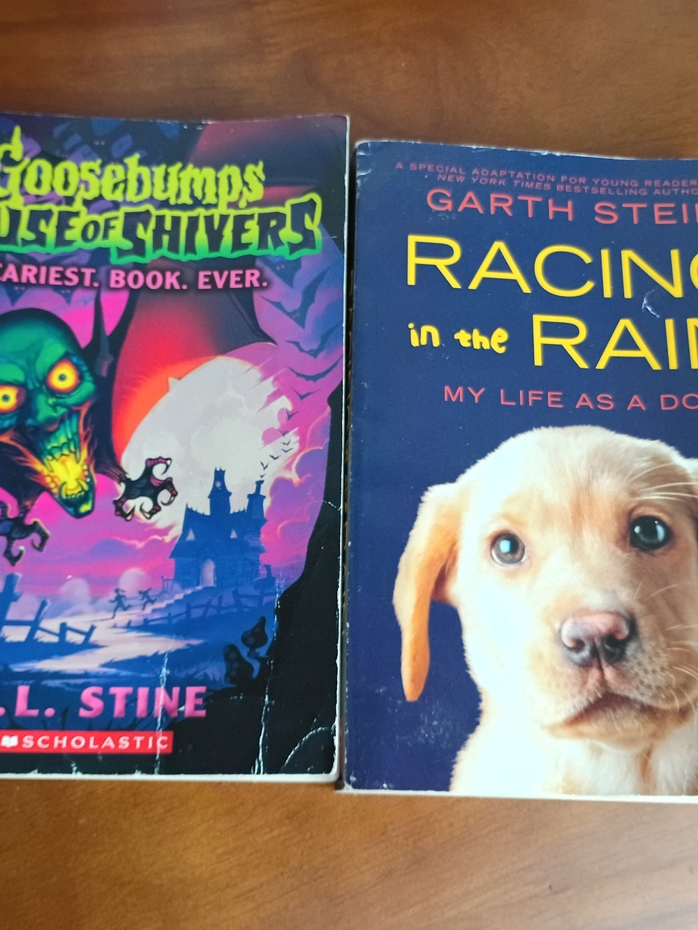 Scholastic Navy & Yellow Paw Paperback Back-Cover
